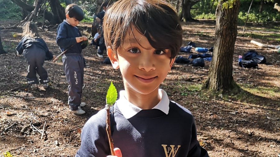 Forest school Wandsworth Prep School